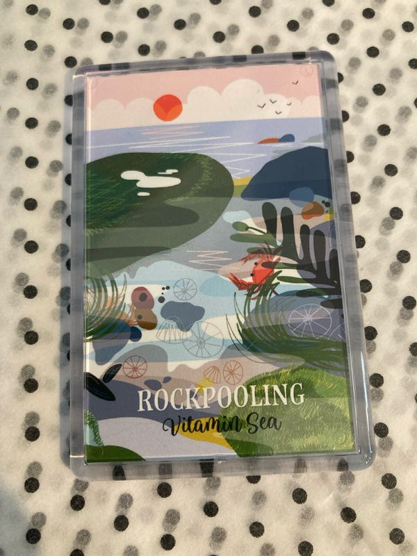 Rockpooling Fridge Magnet