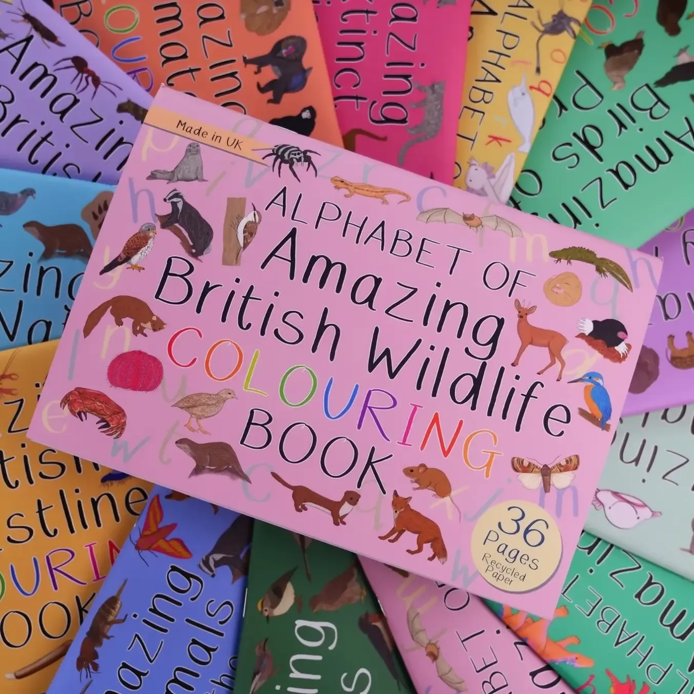 Alphabet of Amazing British Wildlife Colouring Book