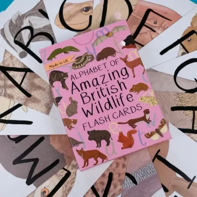 Alphabet Of Amazing British Wildlife Flash Cards