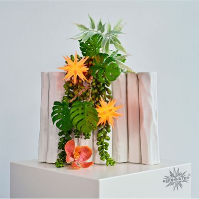 Herrnhuter Sonderedition Miniaturstern apricot - Sonderedition 2026