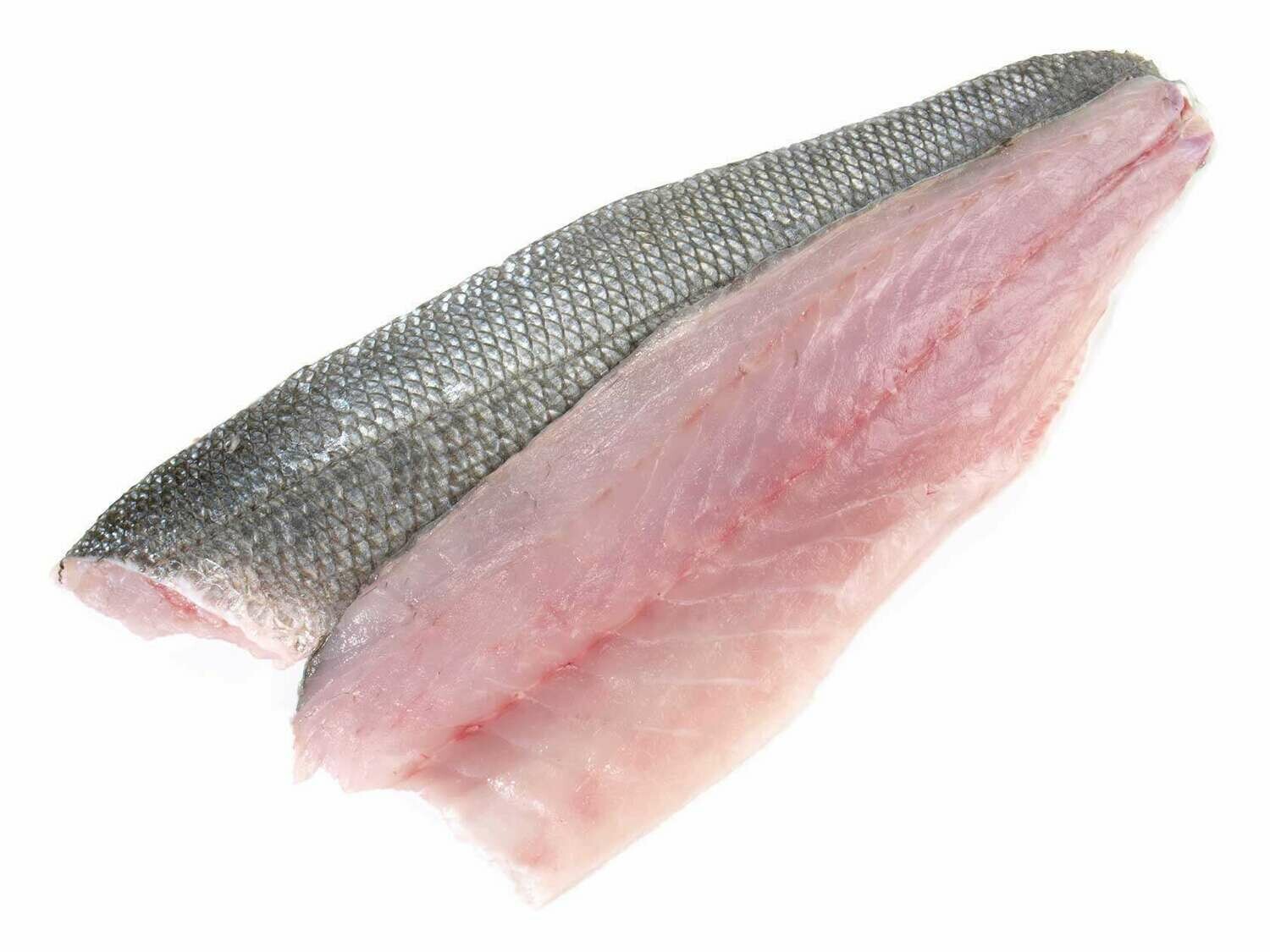 Seabass Fillet 100 - 120-g Seabass Fillet 100 - 120-g