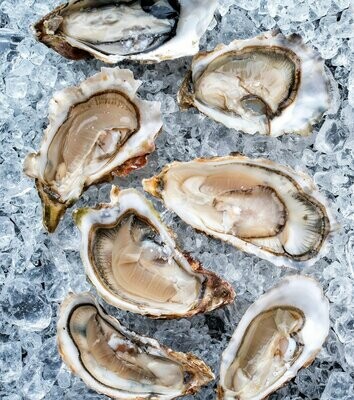 Jersey Oysters Each