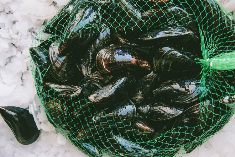 Mussels 3kg Mussels 3kg