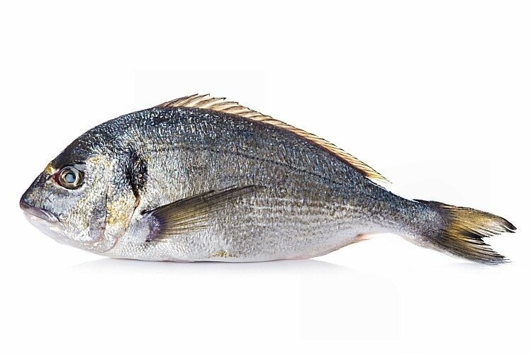 Bream Silver Durade 400-600g Bream Silver Durade 400-600g