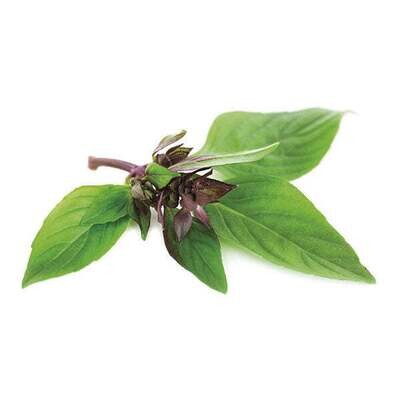 Saatgut-Packung - Basil Thai
