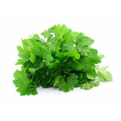 Saatgut-Packung - Parsley Gigante d'Italia