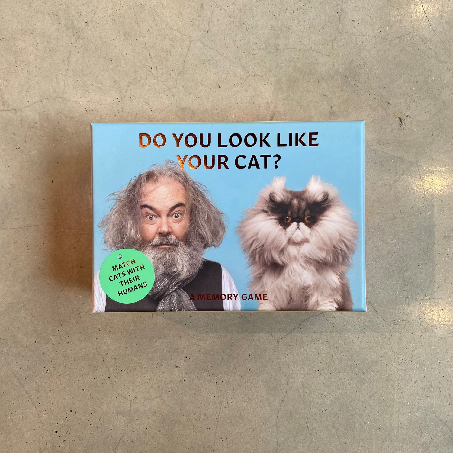 Memory-Spiel - Do you look like your cat?