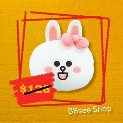 Line Friends Cushion (Cony)