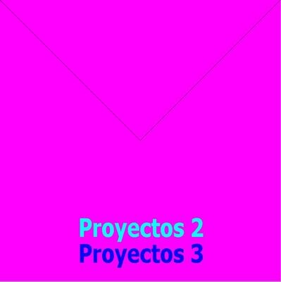 PROYECTOS 2