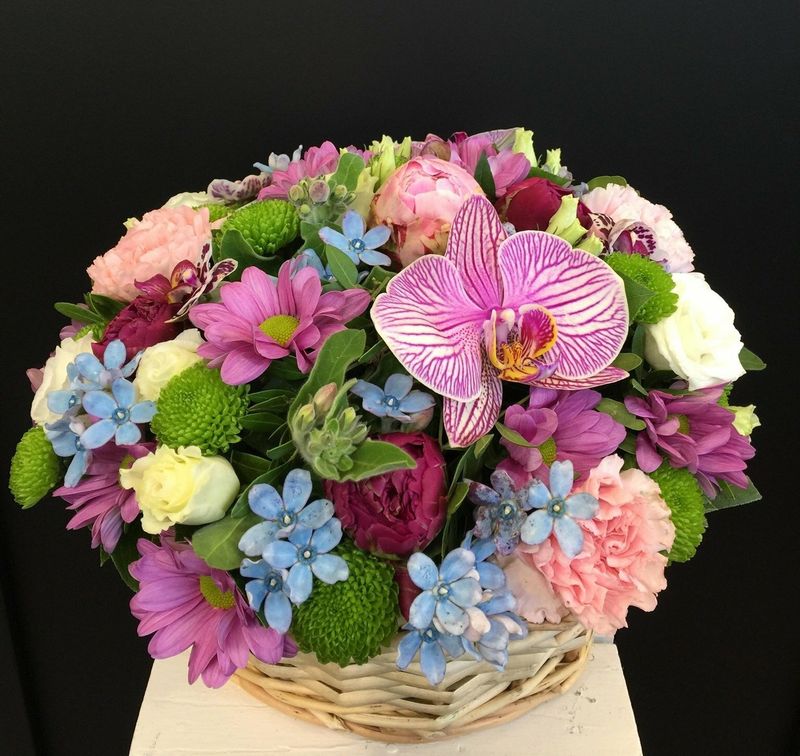 PANIER DE L'ARROSOIR