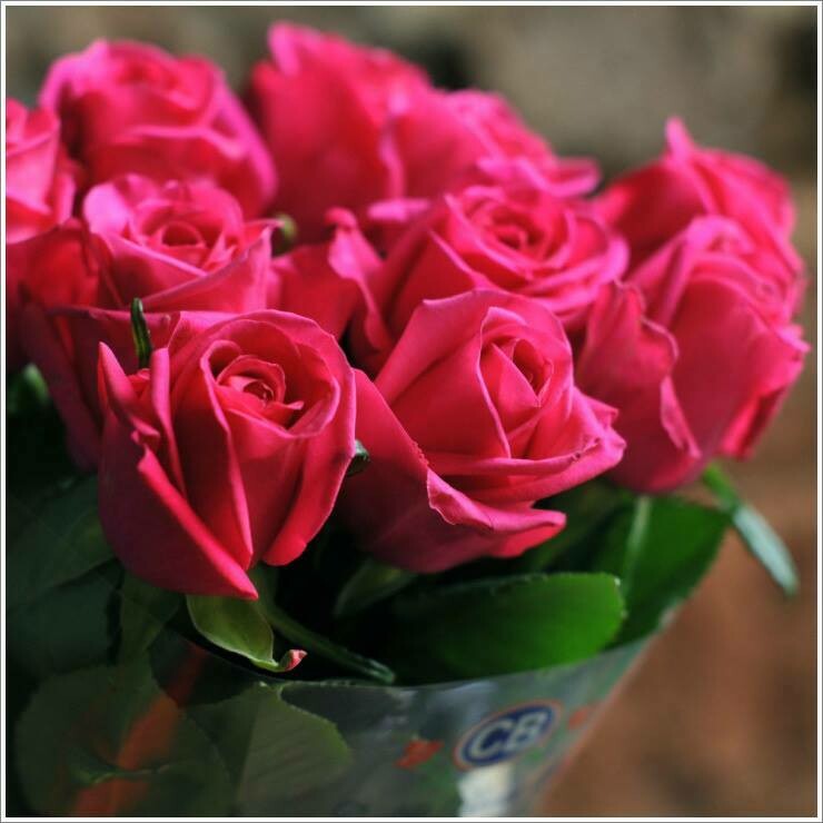 BRASSÉE DE ROSES