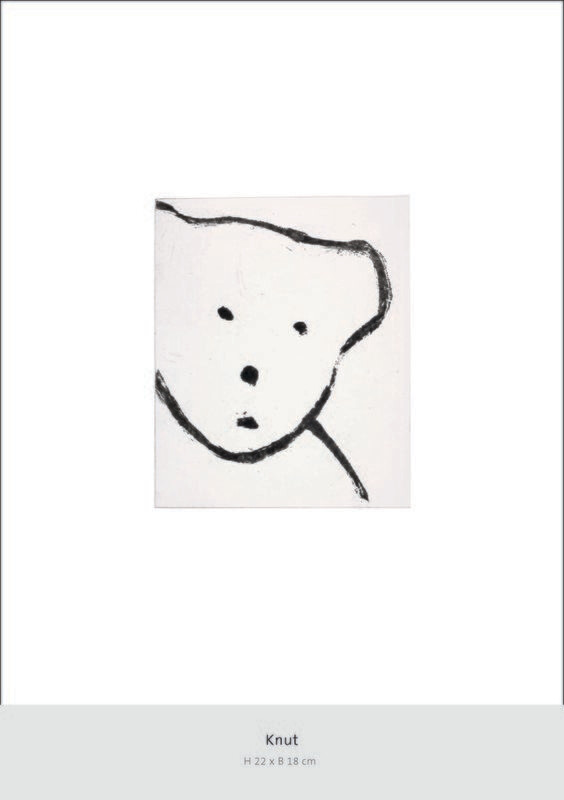 Knut