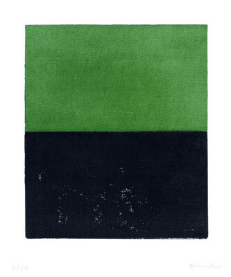 Günther Förg - schwarz grün