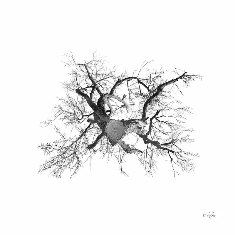 Apfel II