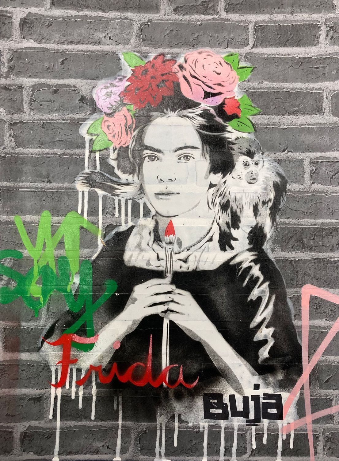 Yo Soy Frida