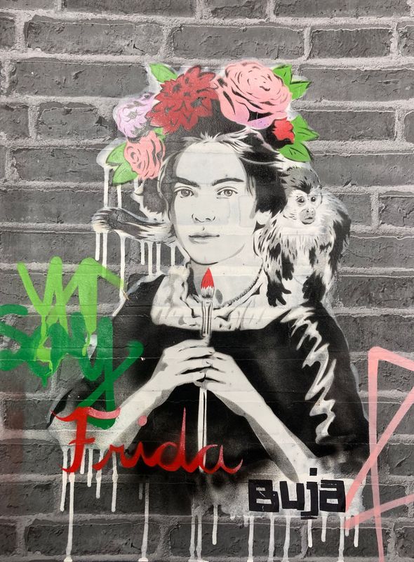 Yo Soy Frida