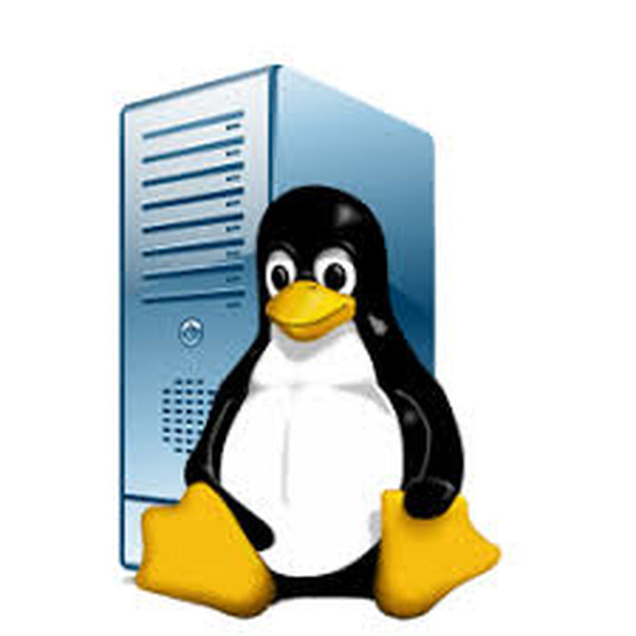Unlimited Linux Web Hosting