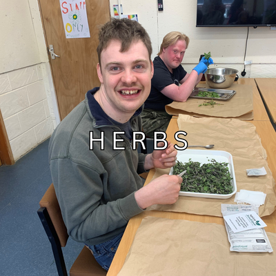 Herbs