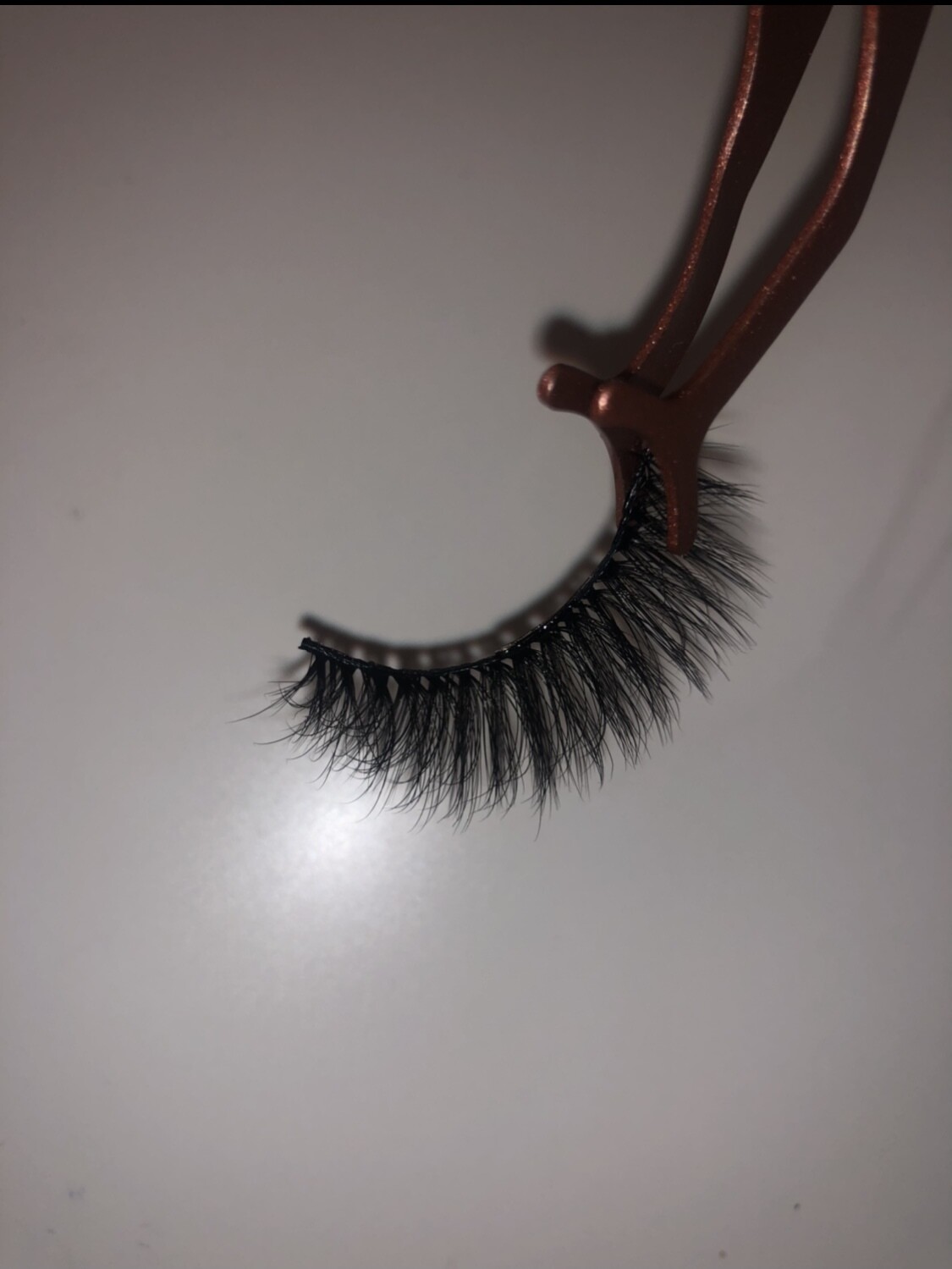 SUGAR LASH