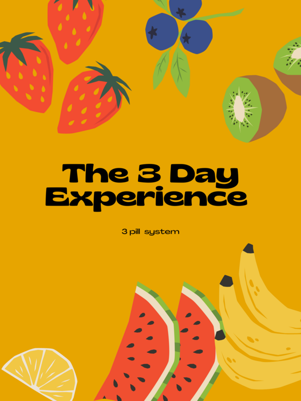 The 3 Day Experience
