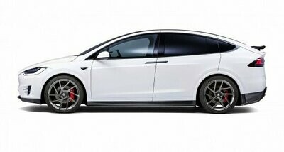 MODEL X