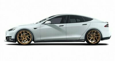 MODEL S