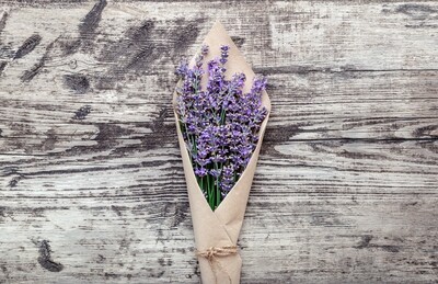 Dried Lavender Bundle