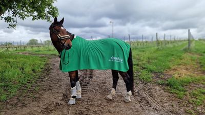 "Decke ALPHA FLEECE | Regular"