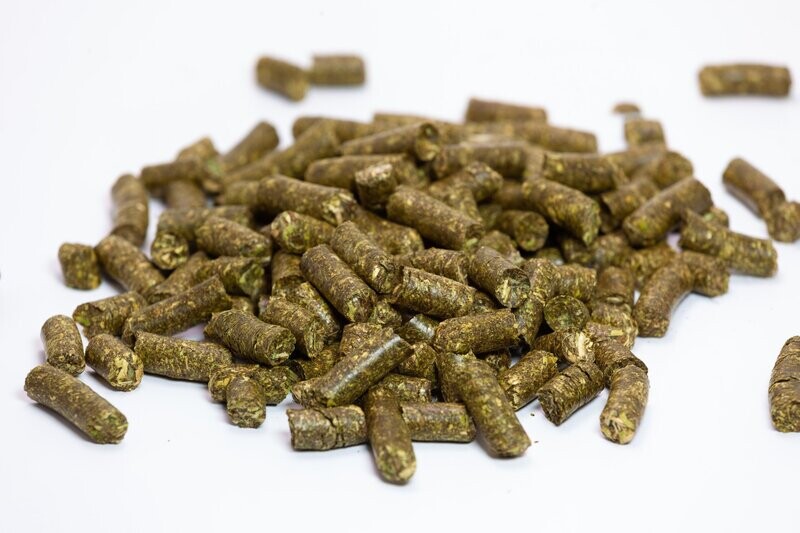 Muscle Power - Timothy Pellets 22,5 kg Sack - 1,78€ pro KG Muscle Power - Timothy Pellets 22,5 kg Sack - 1,78€ pro KG