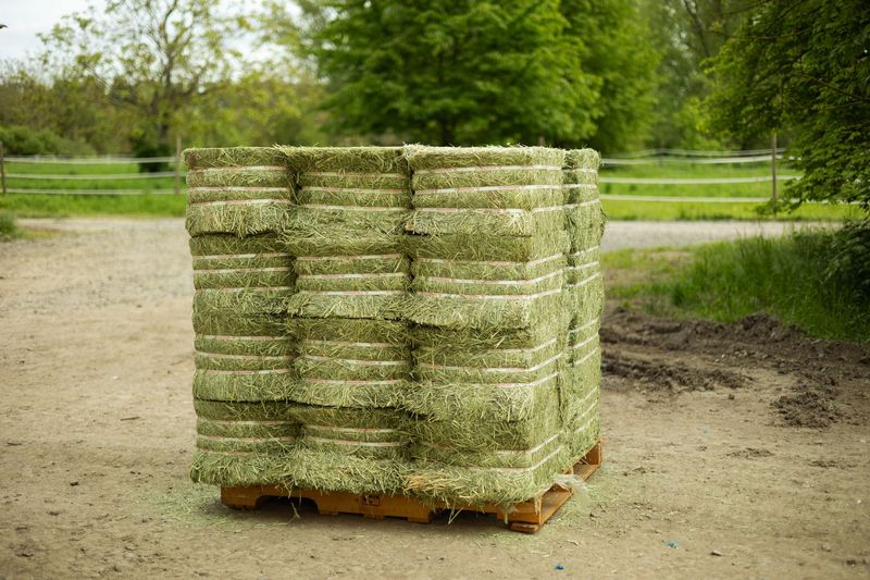 Timothy - Premium / Paletten mit 24 Ballen je 27 kg - 1,30€ pro KG Timothy - Premium / Paletten mit 24 Ballen je 27 kg - 1,30€ pro KG