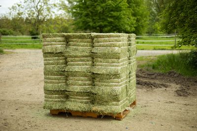 Timothy - Premium / Paletten mit 24 Ballen je 27 kg - 1,30€ pro KG Timothy - Premium / Paletten mit 24 Ballen je 27 kg - 1,30€ pro KG