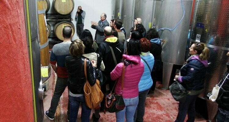 Wine Tour e Tagliere