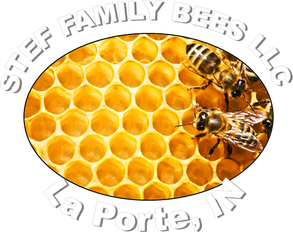 STEF FAMILY BEES LLC
