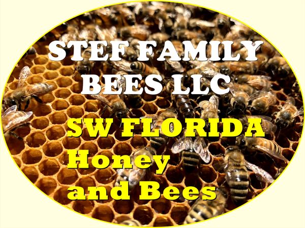 STEF FAMILY BEES LLC