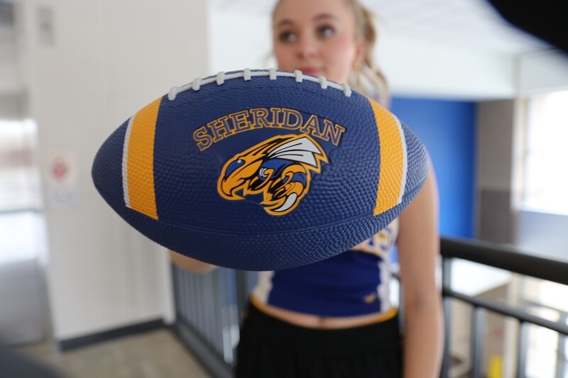 Nike Mini Football