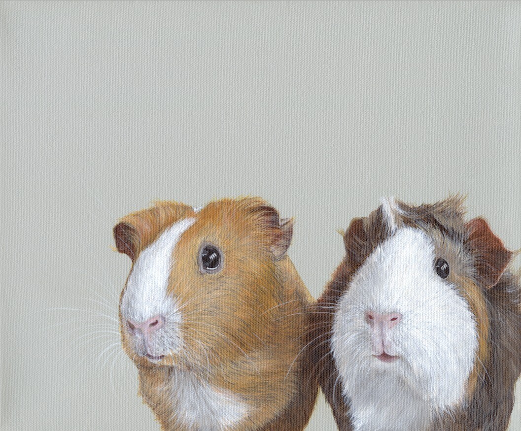 &#39;Double Trouble&#39;