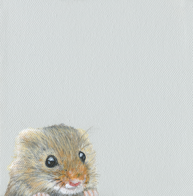 &#39;Mouse Peeking&#39; (price includes mount)