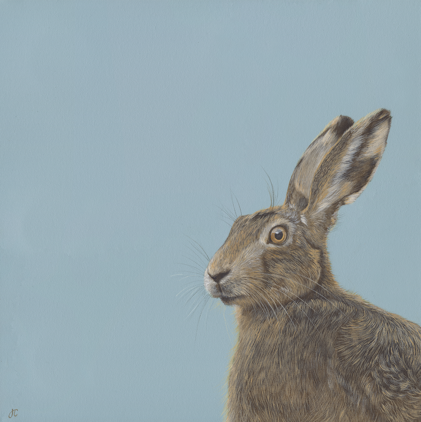 &#39;Hare on blue&#39;