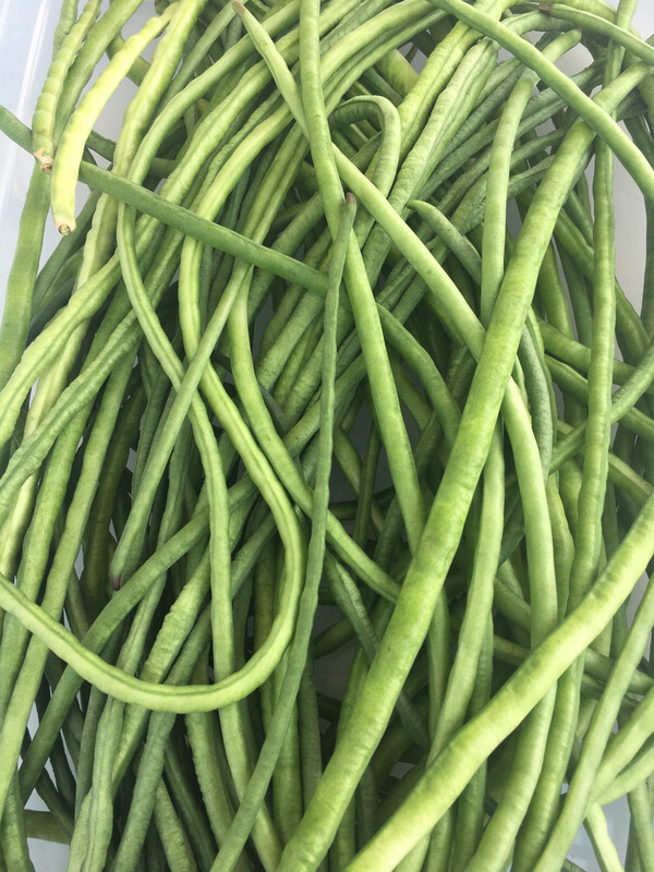 Liana Beans