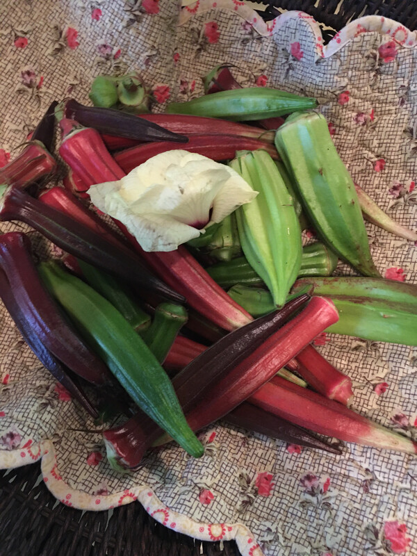 It’s OKRA Everybody