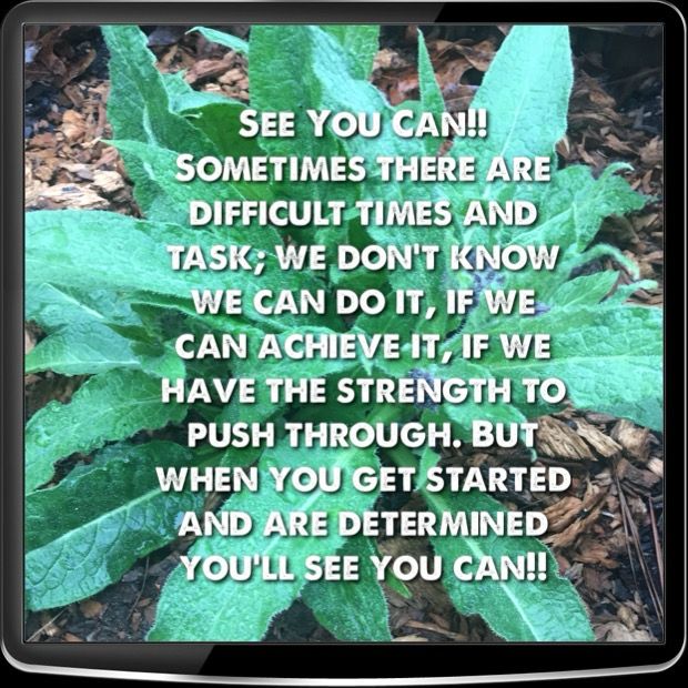 Herb Well
