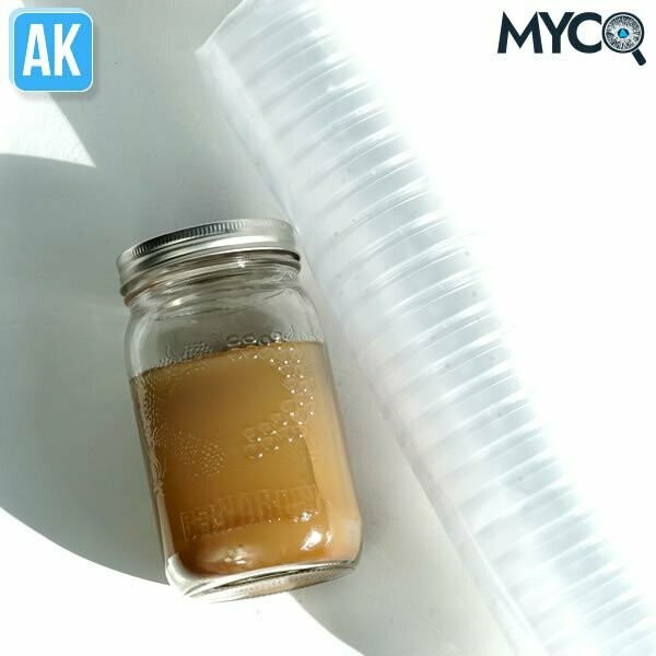 Agar Kit with petri dishes for mycology work