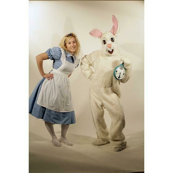 alice et le lapin