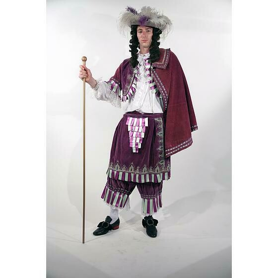 Louis XIV velours violet