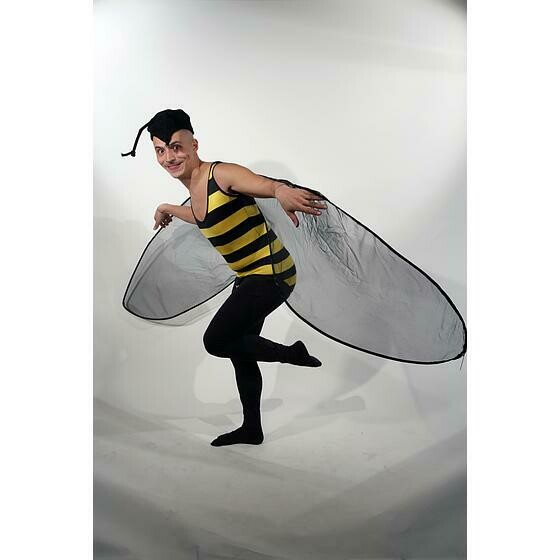 abeille body