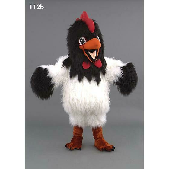 Coq tête noire