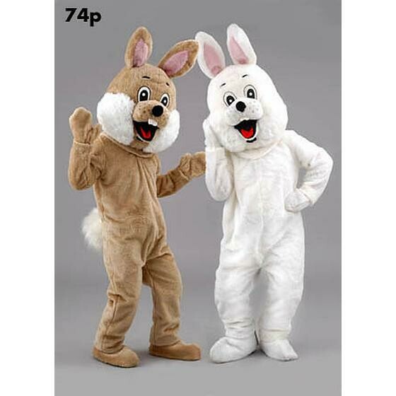 lapin blanc ou beige