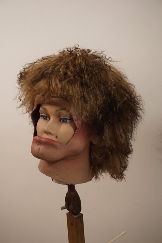 cagoule visage cheveux châtain clair