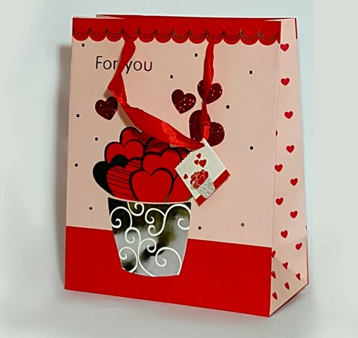 24 יח' שקיות קרטון מיוחדות, 30-40