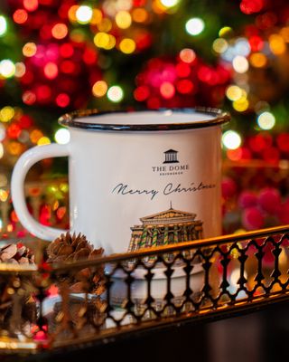 Dome Festive Enamel Cup